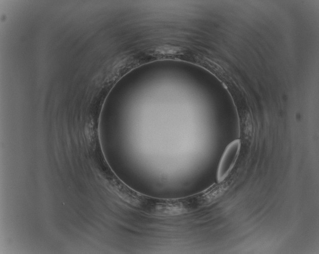 X0000073900559200608181001