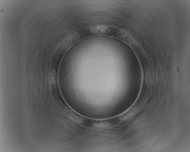 X0000073900561200608181001