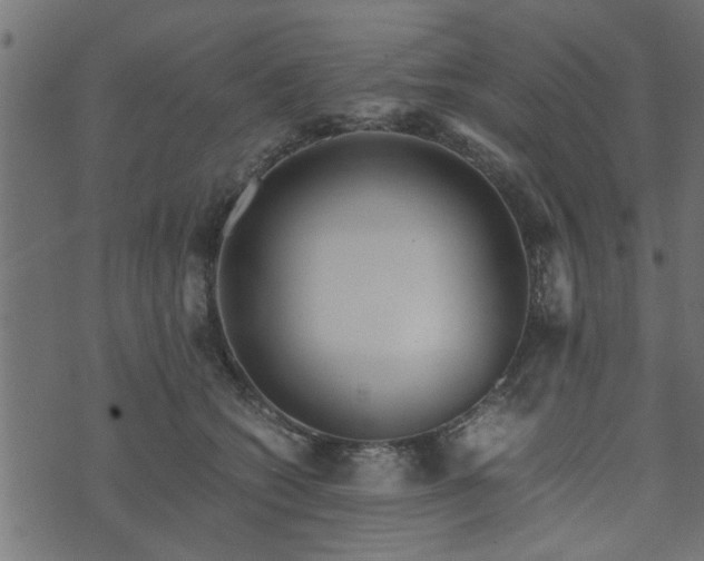 X0000073900562200608181001