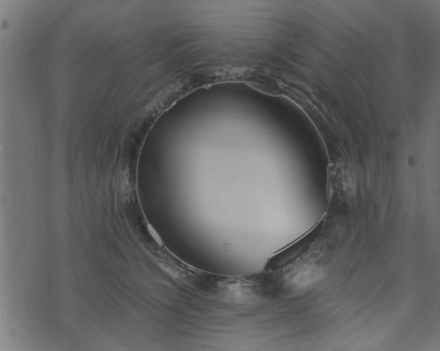 X0000073900564200608181001