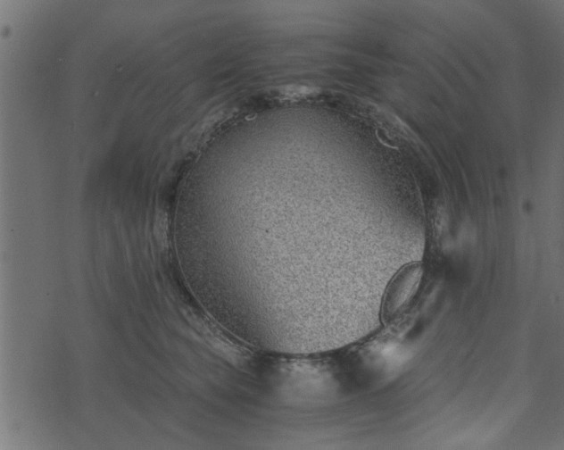 X0000073900565200608181002