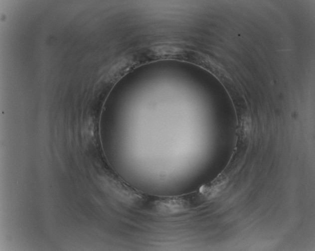 X0000073900567200608181002