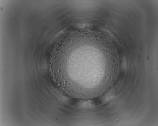 X0000073900569200608181002