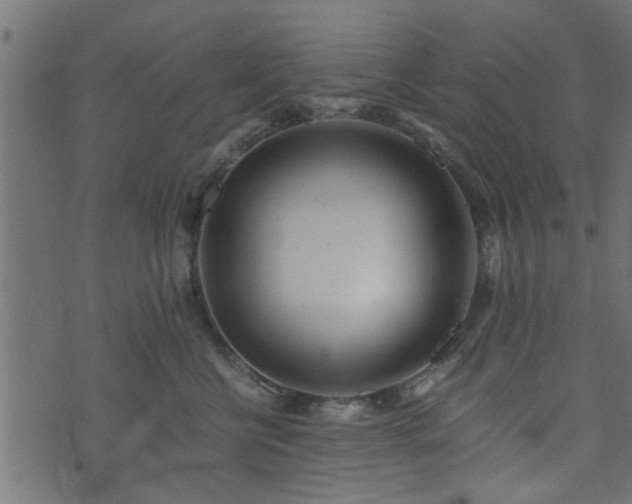 X0000073900570200608181002