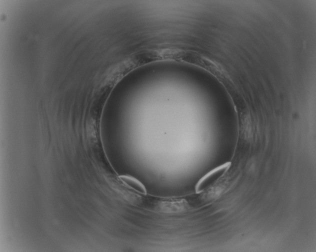 X0000073900571200608181002