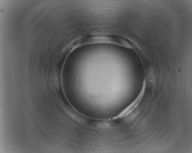 X0000073900572200608181002