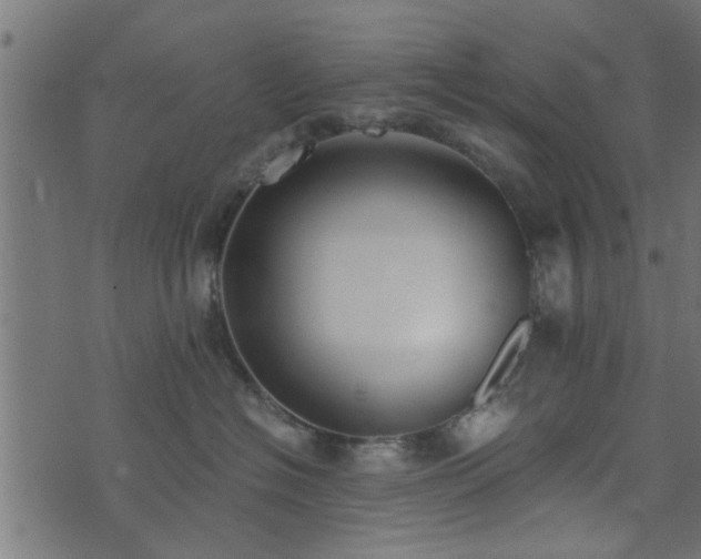 X0000073900574200608181002