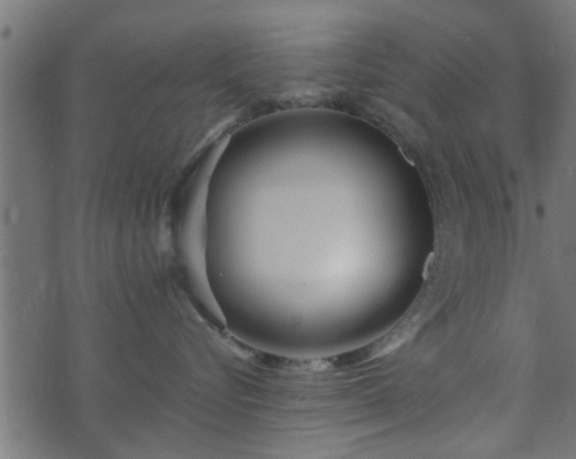 X0000073900576200608181002