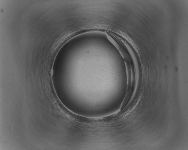 X0000073900577200608181001