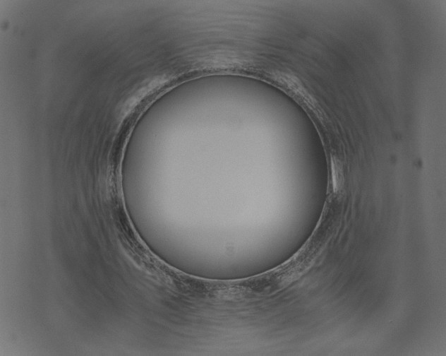 X0000073900579200608181001