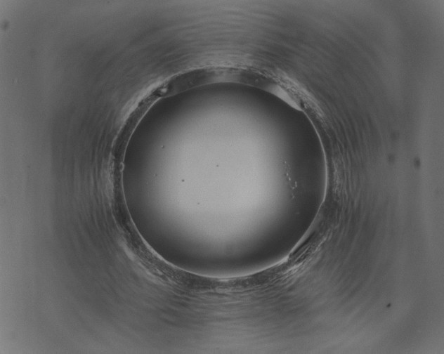 X0000073900580200608181001