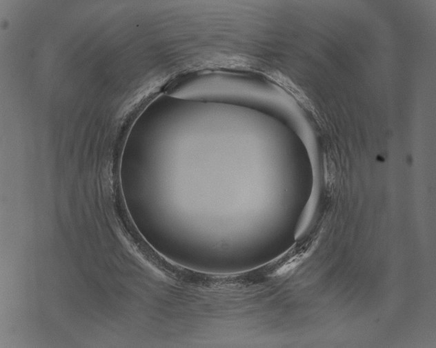 X0000073900581200608181001