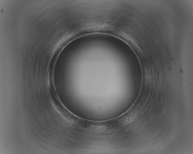 X0000073900582200608181001