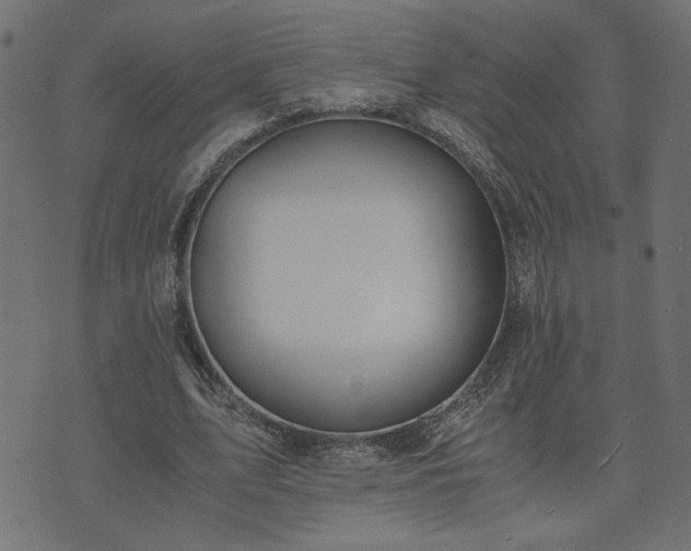 X0000073900583200608181001