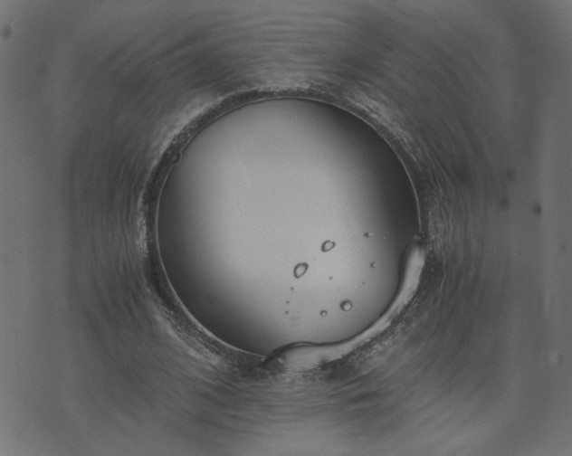 X0000073900584200608181001