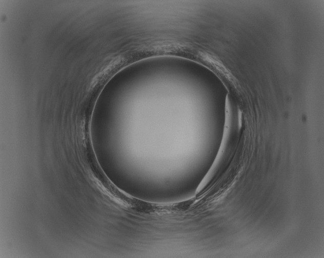 X0000073900585200608181001