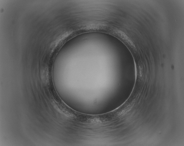 X0000073900588200608181001