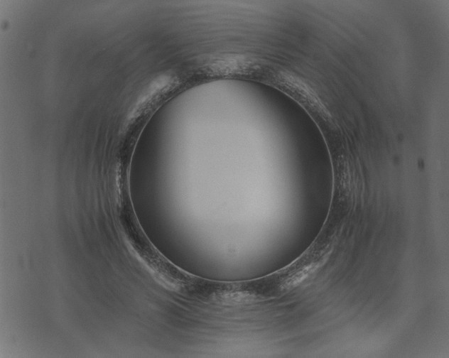 X0000073900590200608181001