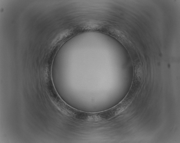 X0000073900591200608181001