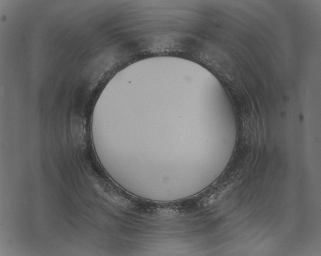 X0000073900592200608181001