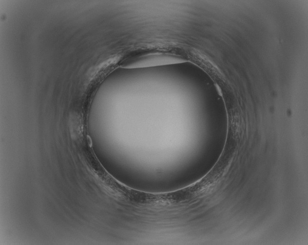 X0000073900593200608181001