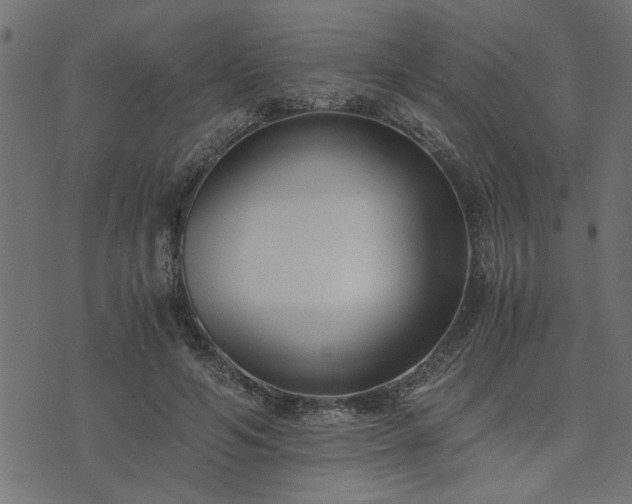 X0000073900594200608181001