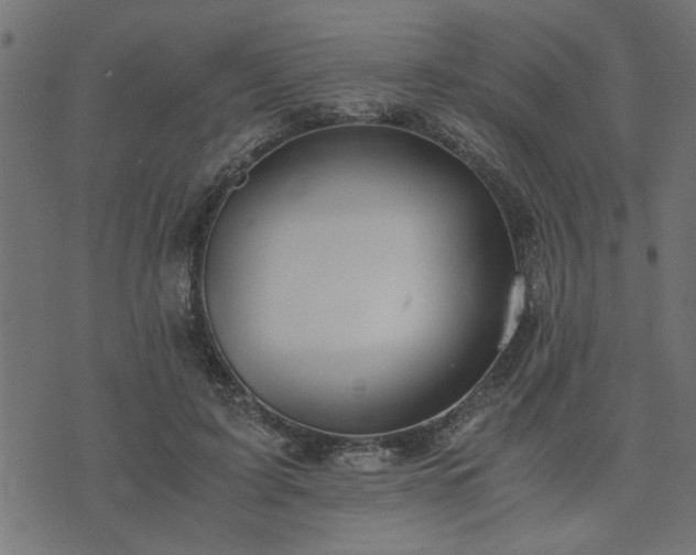 X0000073900595200608181001