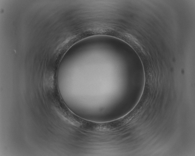 X0000073900596200608181001