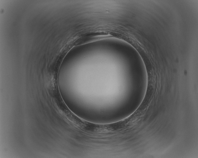 X0000073900597200608181001