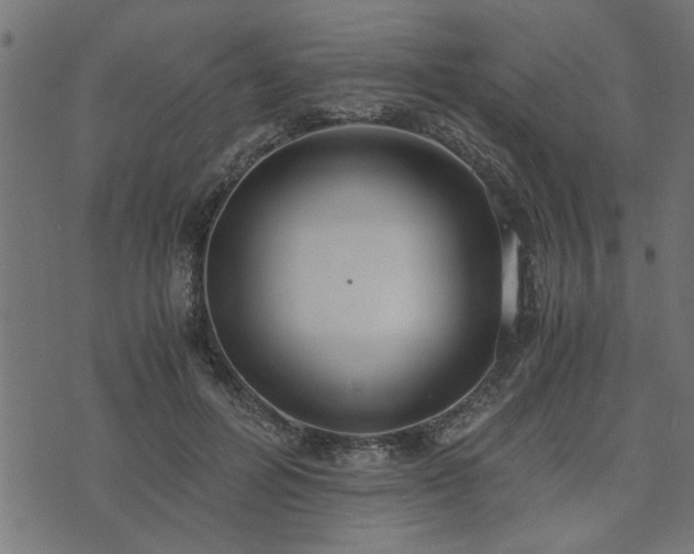 X0000073900600200608181001