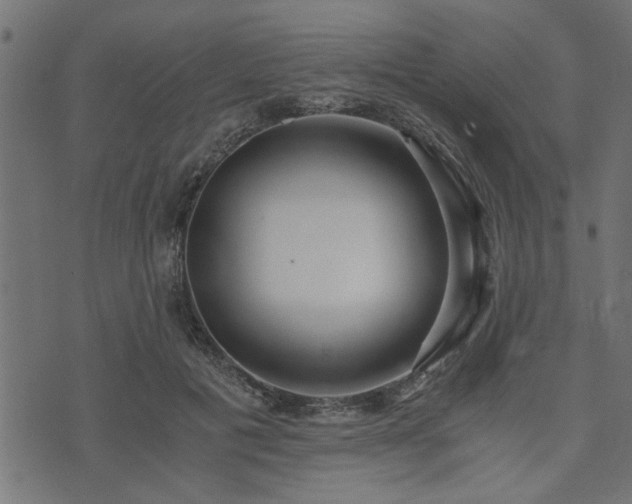 X0000073900601200608181001