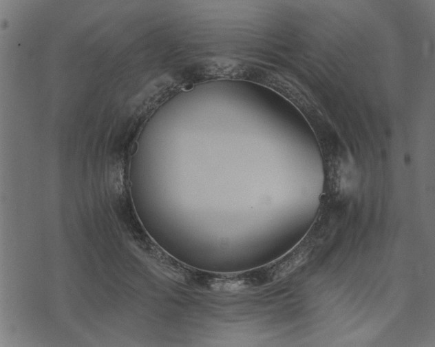 X0000073900602200608181000