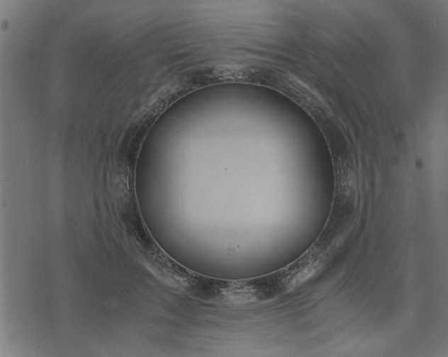 X0000073900603200608181000