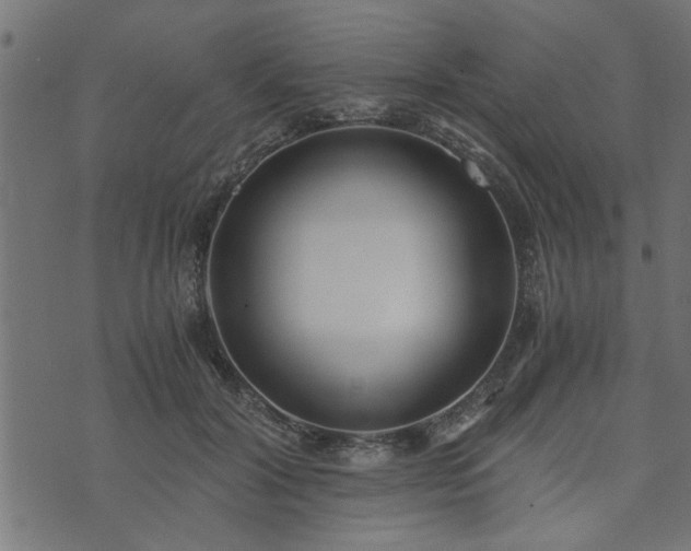 X0000073900604200608181000