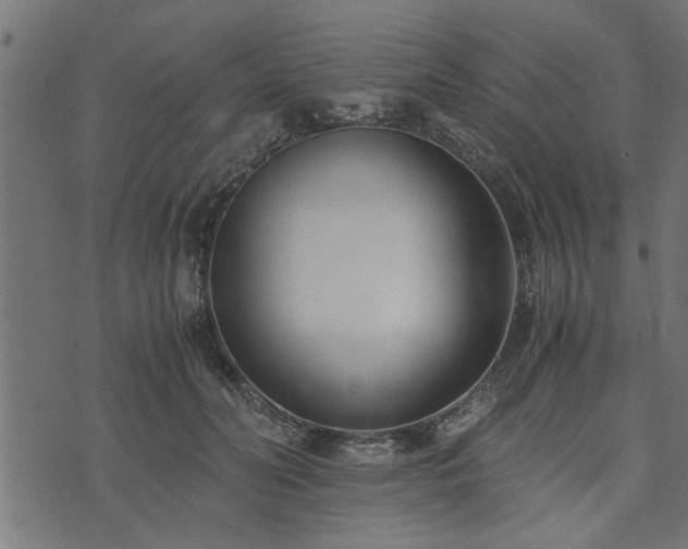 X0000073900606200608181000