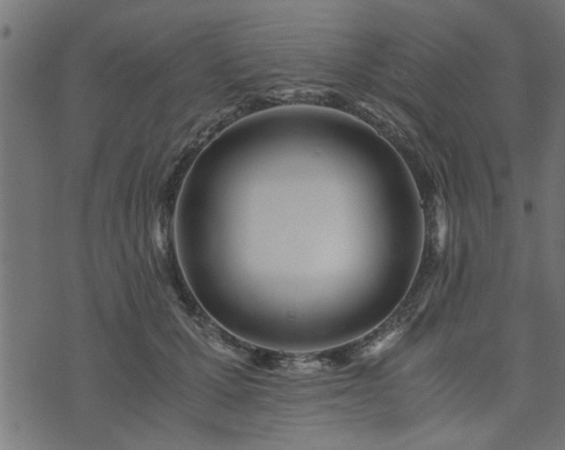 X0000073900607200608181000