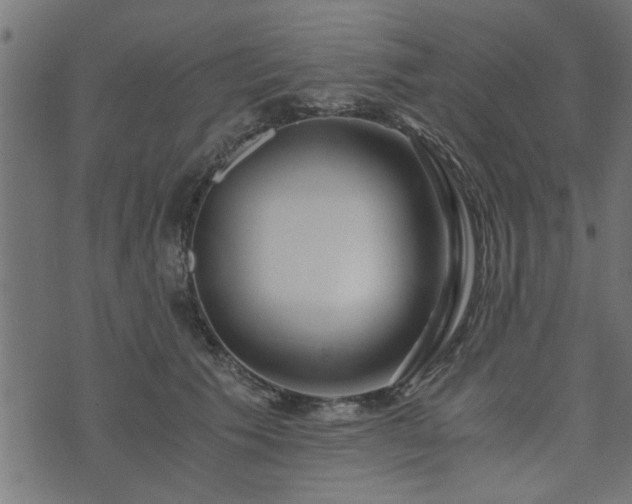 X0000073900609200608181000