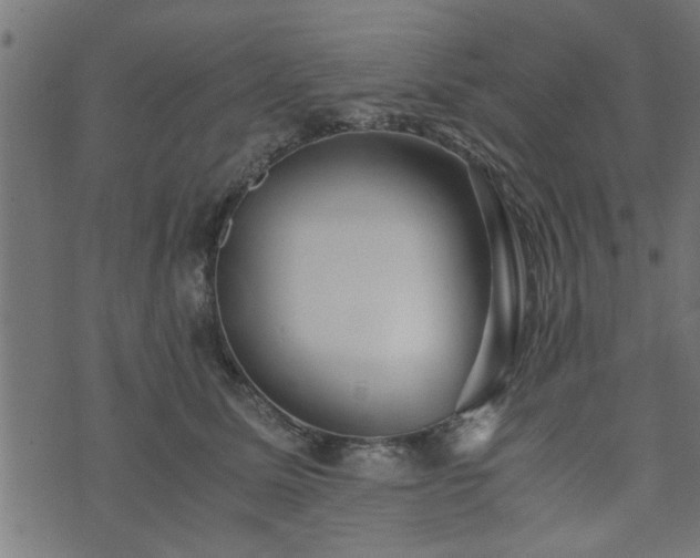 X0000073900611200608181000