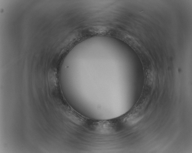 X0000073900612200608181000