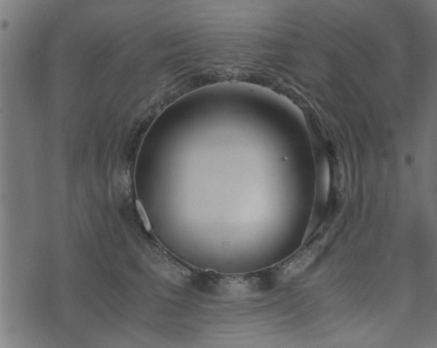 X0000073900613200608181000