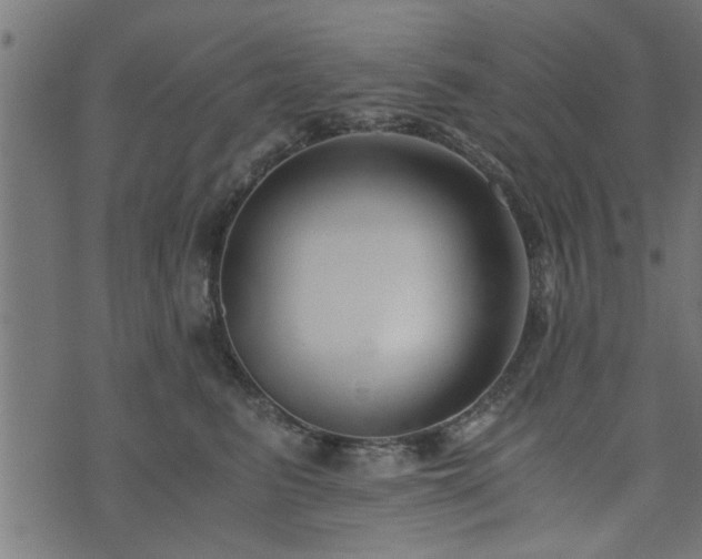 X0000073900615200608181000