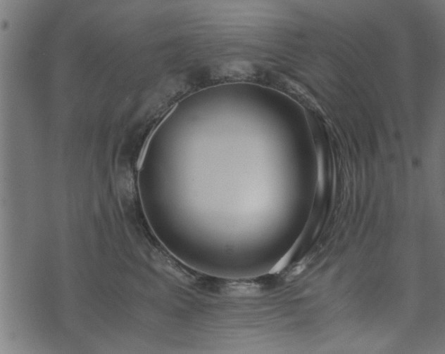 X0000073900617200608181000