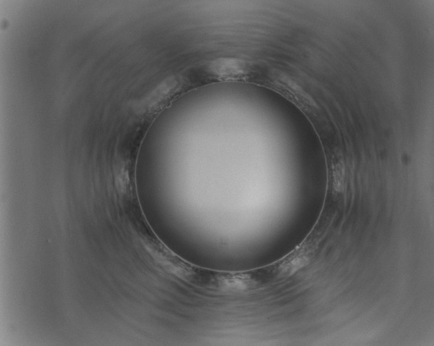 X0000073900618200608181000