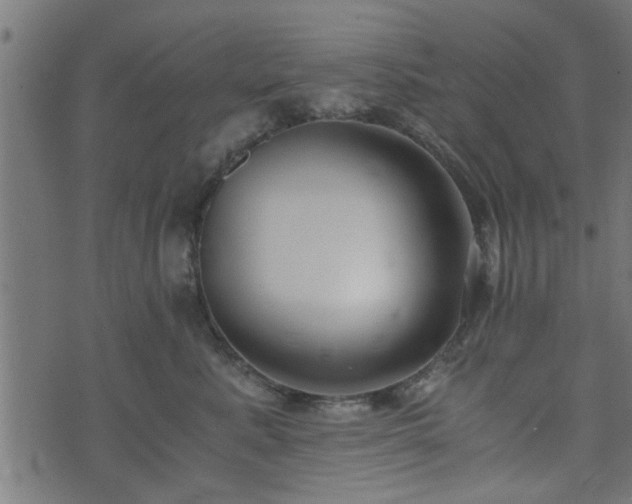 X0000073900619200608181000