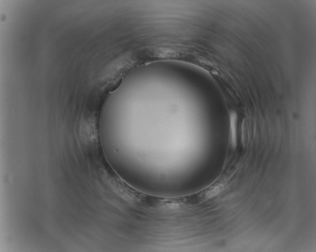 X0000073900620200608181000