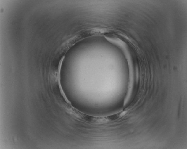 X0000073900621200608181000