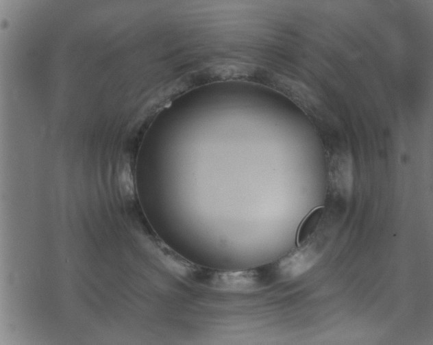 X0000073900622200608181000