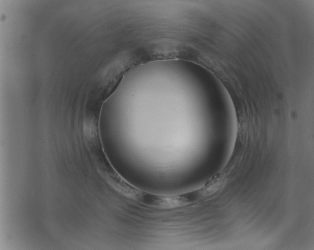 X0000073900623200608181000