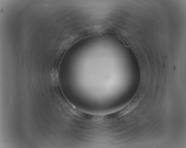 X0000073900624200608181000