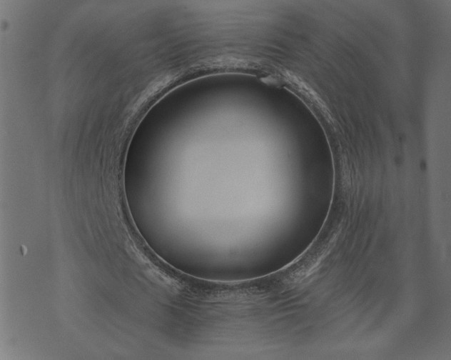 X0000073900625200608180959